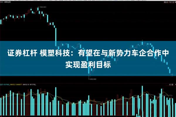 证券杠杆 模塑科技：有望在与新势力车企合作中实现盈利目标