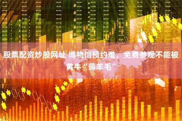股票配资炒股网址 博物馆预约难，免费参观不能被黄牛“薅羊毛”